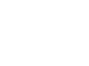 Logo WHITE33 2